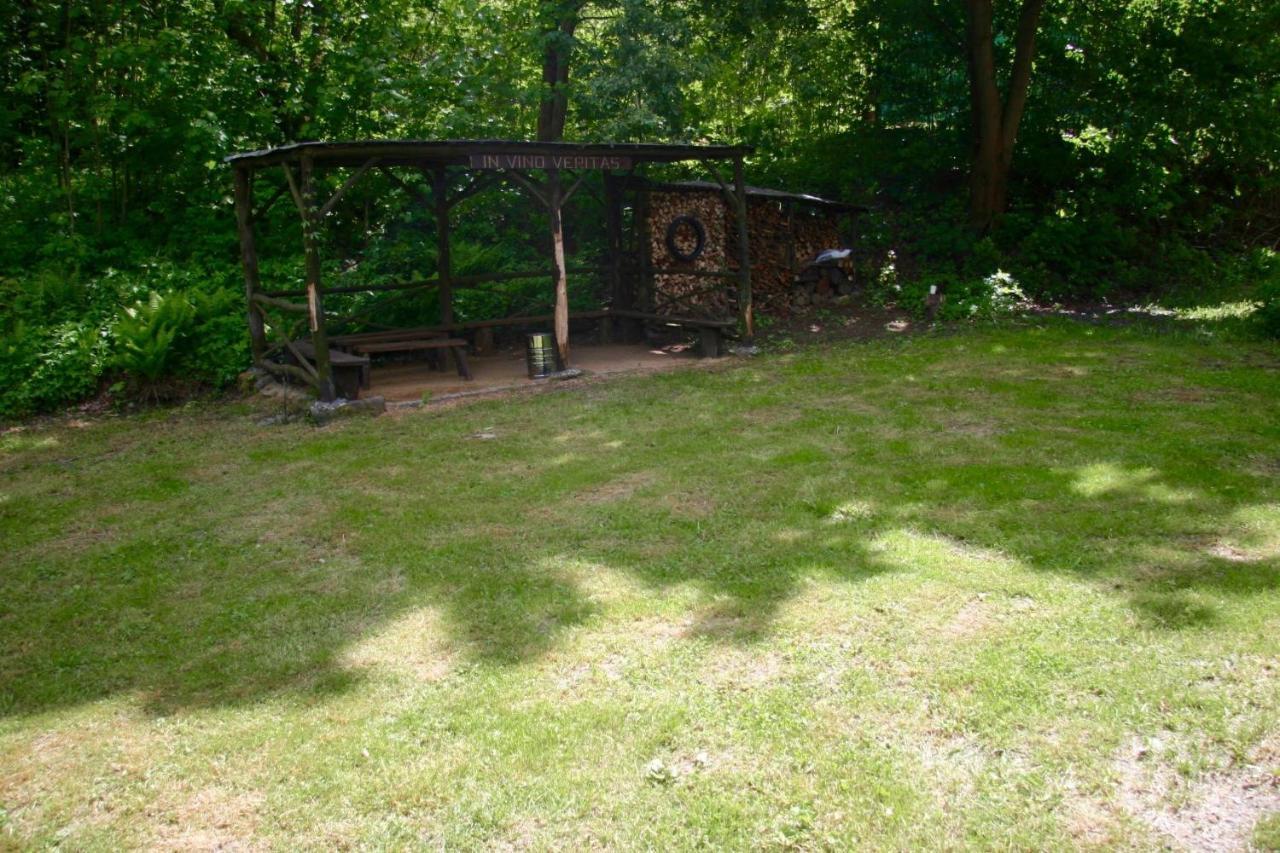 Villa Sunshine / Slunecna Vila Krásná Lípa Dış mekan fotoğraf